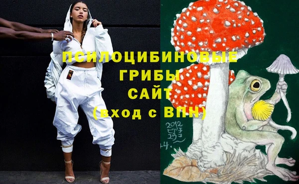 гидропоника Ельня
