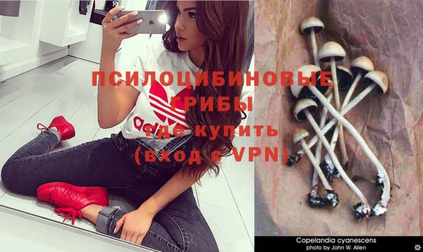 гидропоника Ельня