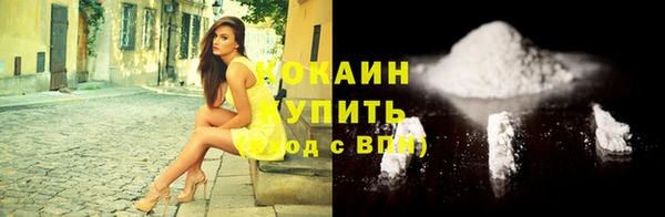 мдпв Елизово