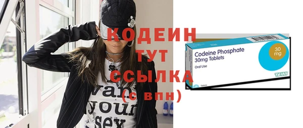 мдпв Елизово