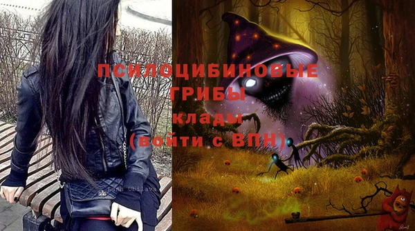 мдпв Елизово