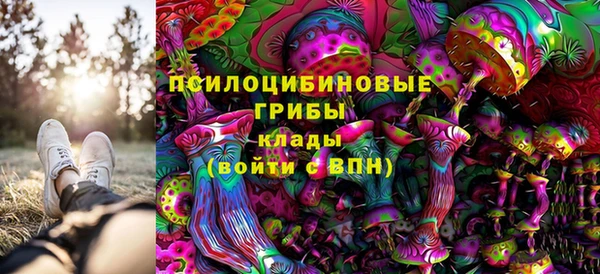 мдпв Елизово