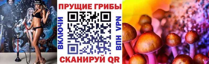Купить где  Новоржев  Галлюциногенные грибы мицелий 
